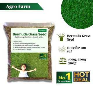 Agro Farm Premium Bermuda Grass Seed / Philippines Grass Seed / Cow ...