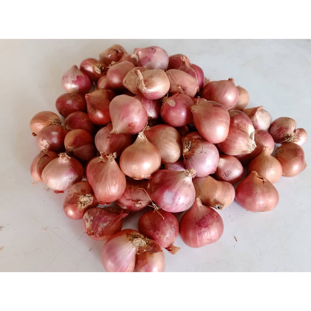 Bawang Merah Siam 1kg Shopee Malaysia