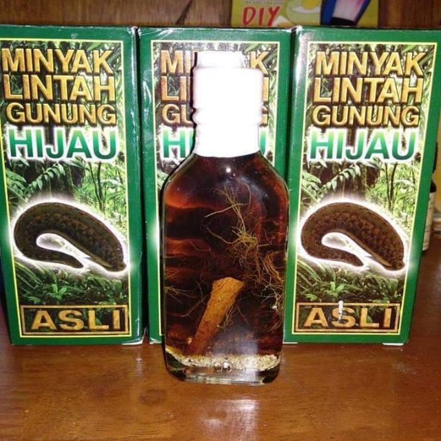 minyak lintah gunung hijau