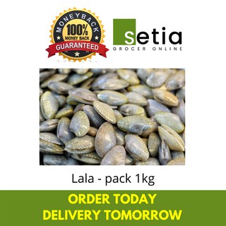 Asari Short Neck Clam 花蛤啦啦 500gm Pk Lala Kepah Fresh Makanan Laut Old Mama Seafood Shopee Malaysia