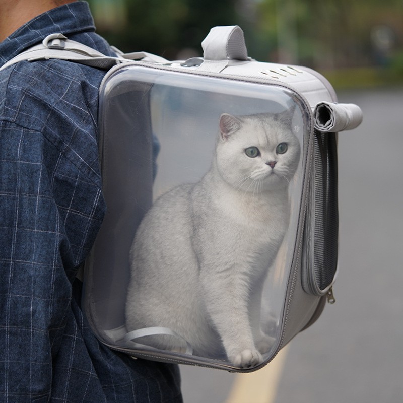 cat transport backpack