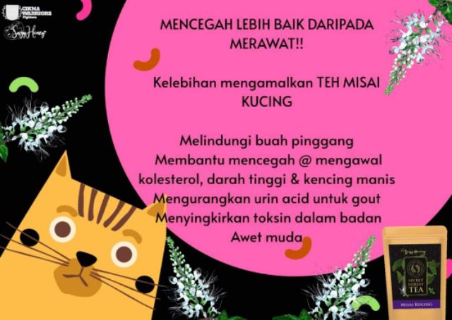 Campuran Minuman Herba Misai Kucing DR.Africanau0027s  Shopee Malaysia