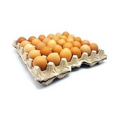  Telur  Ayam Gred B 1  Papan  Shopee Malaysia