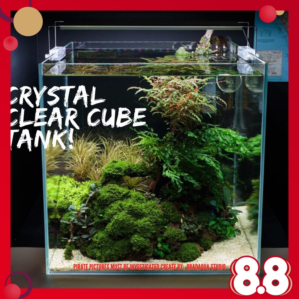 AQUARIUM Fish Tank Crystal Clear Tank Cube Tank 5mm / 6mm Thickness ...