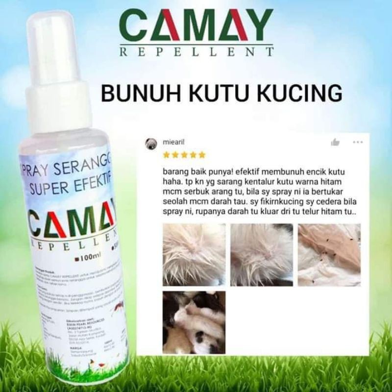 Buy Camay Repellent Spray Serangga kutu kucing baja organik 