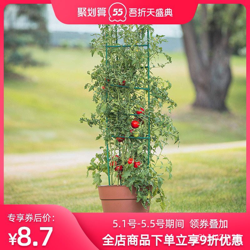 Gardening Bracket 西红柿番茄攀爬支架黄瓜架爬藤植物支架茄子架豆角种菜架园艺支柱 Shopee Malaysia