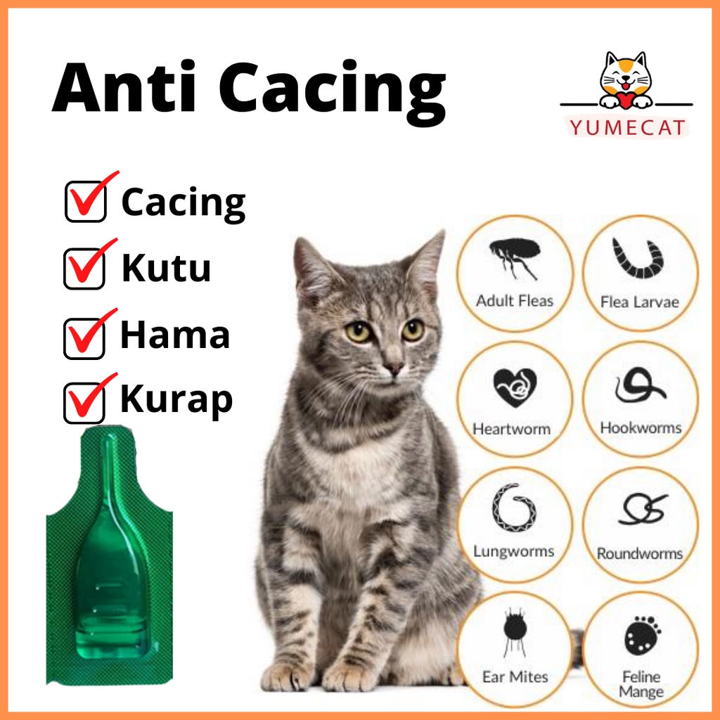 Ubat Cacing Untuk Kucing Prices And Promotions Jul 2022 Shopee Malaysia
