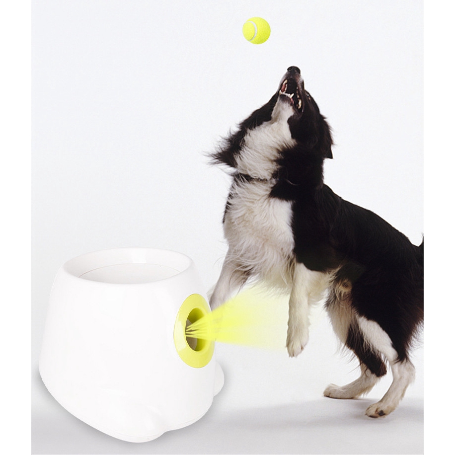 dog toy throwing machine