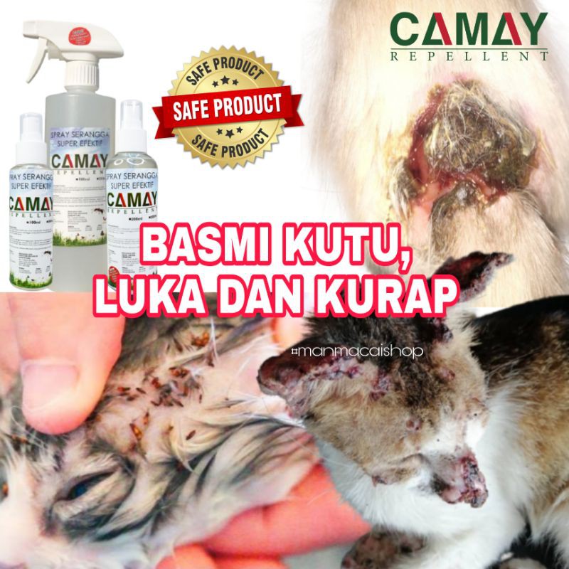 UBAT PENGHAPUS KUTU KUCING / CAT FLEA, MERAWAT KURAP u0026 LUKA KUCING 