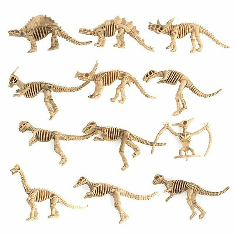 plastic dinosaur skeletons