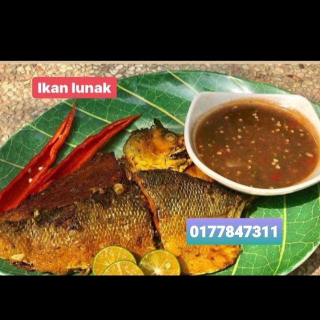 Ikan Lunak Resepi Bonda Rozita Area Kuantan Shj Shopee Malaysia