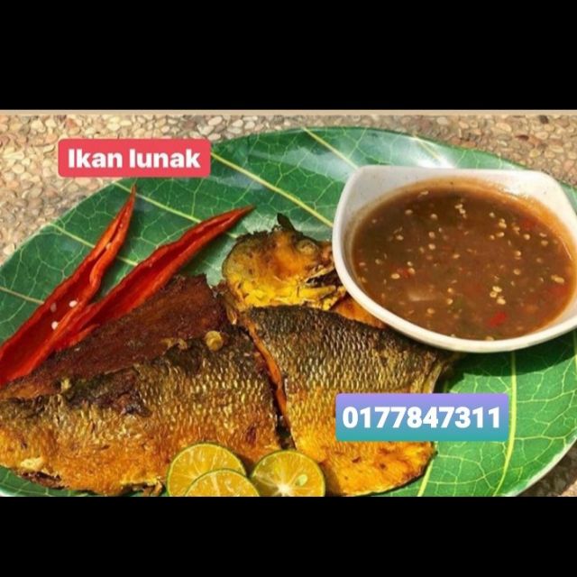Ikan Lunak Resepi Bonda Rozita Area Kuantan Shj Shopee Malaysia