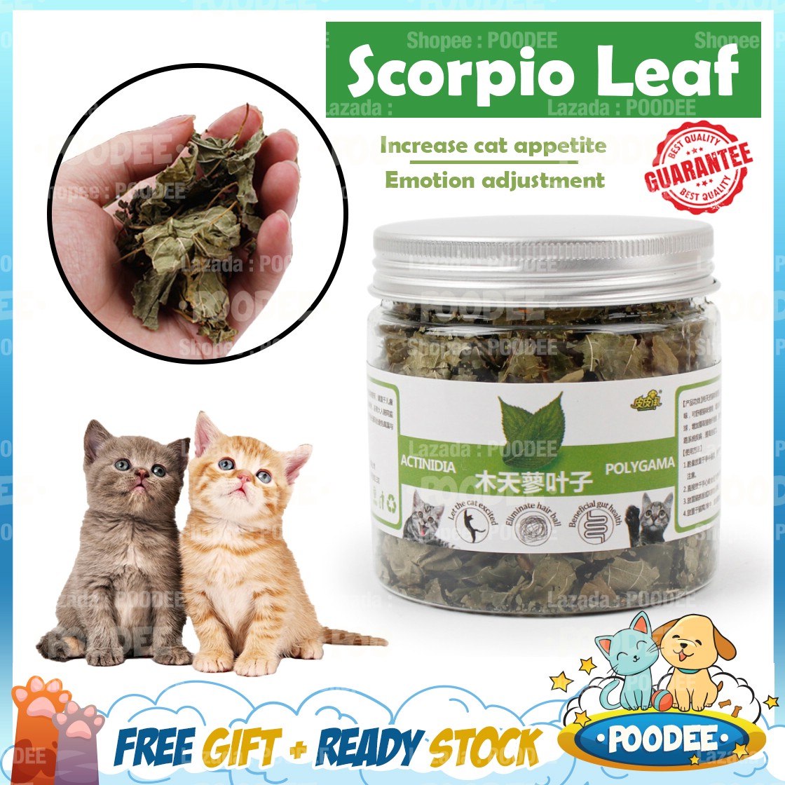 POODEE Cat Kucing Wood Scorpio Leaves Go to Hair Ball Appetizing Excited  Cat Snacks 10g