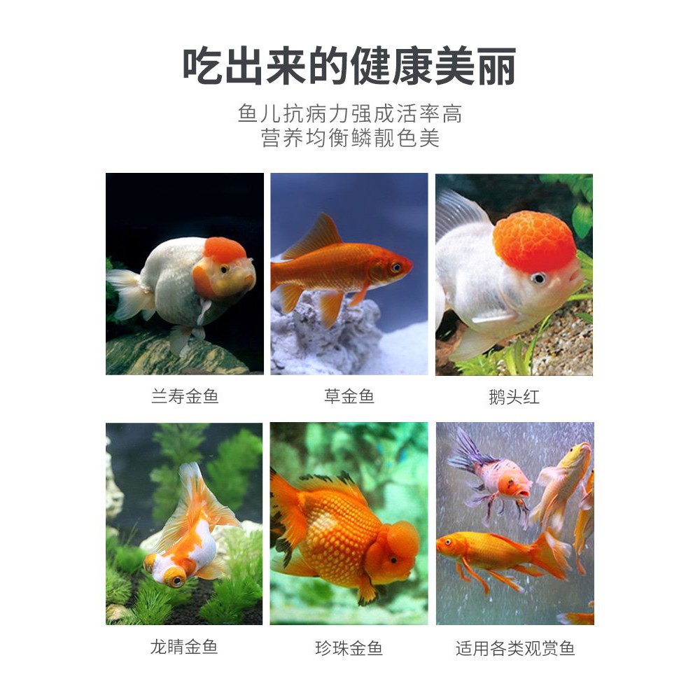 Fish Food 金鱼饲料鱼料金鱼专用鱼食小型鱼家用小颗粒鱼粮兰寿锦鲤通用上浮