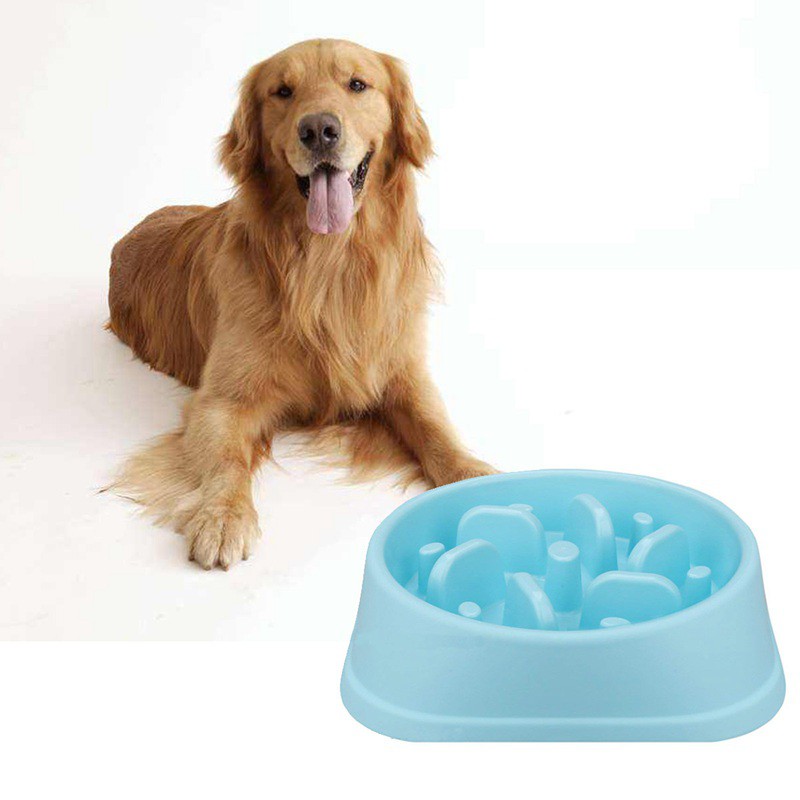 1 Pcs Popular Pet Dog Bowl Plastic Slow Feeder Bowl Bloat Stop