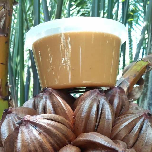 Gula Apong 100 Buatan Sarawak Shopee Malaysia