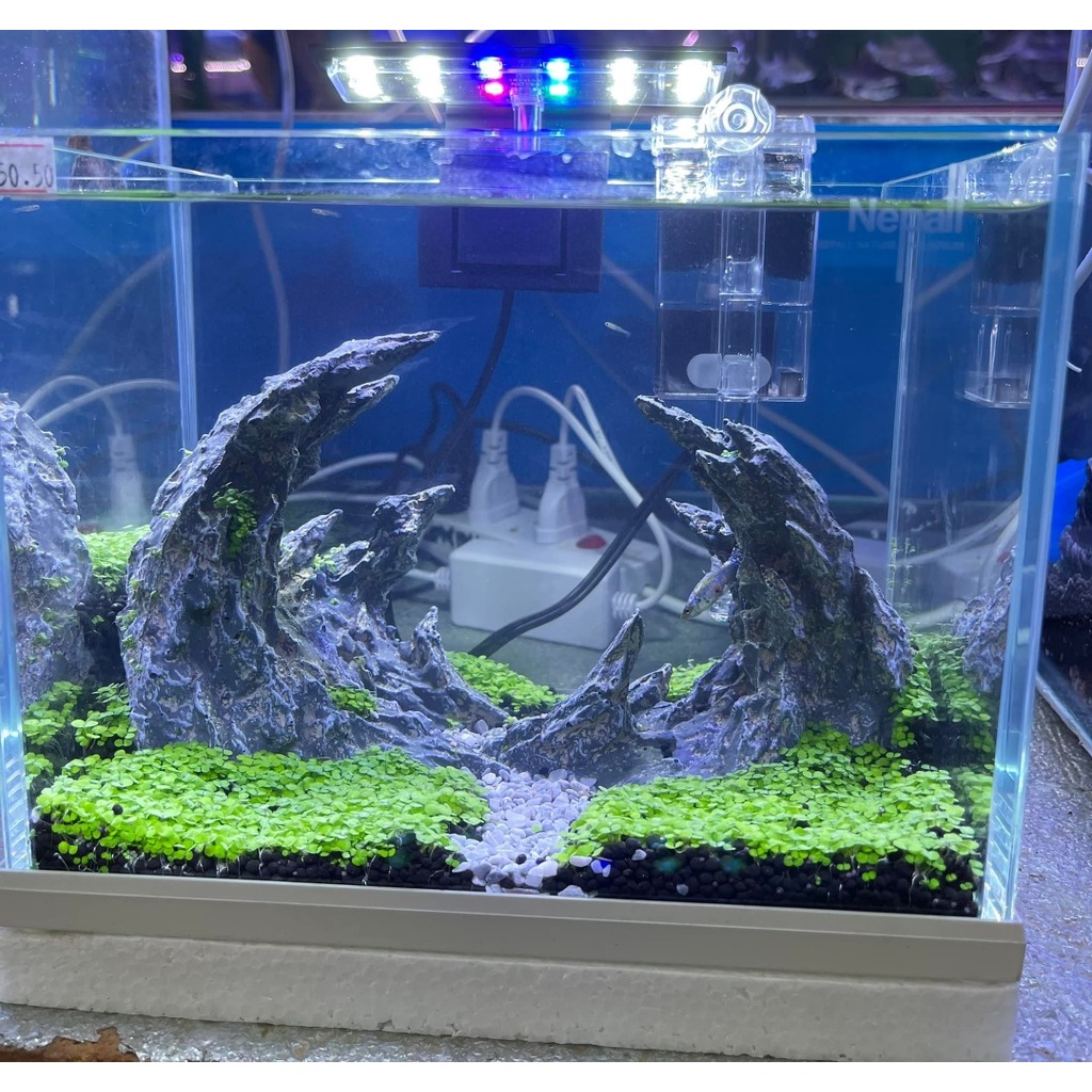 Nepall Small Fish Tank Set Desktop Aquarium Set White Glass With Led