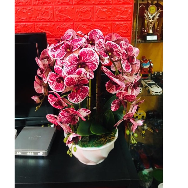  Orkid  viral 6 tangkai  siap gubah Shopee Malaysia