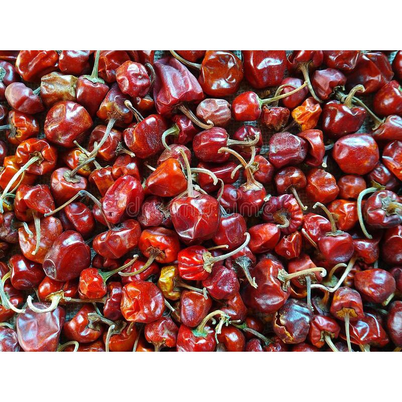 Cili Bulat Kering / Dry Round Chili/Cherry Chili/Gundu Moligai