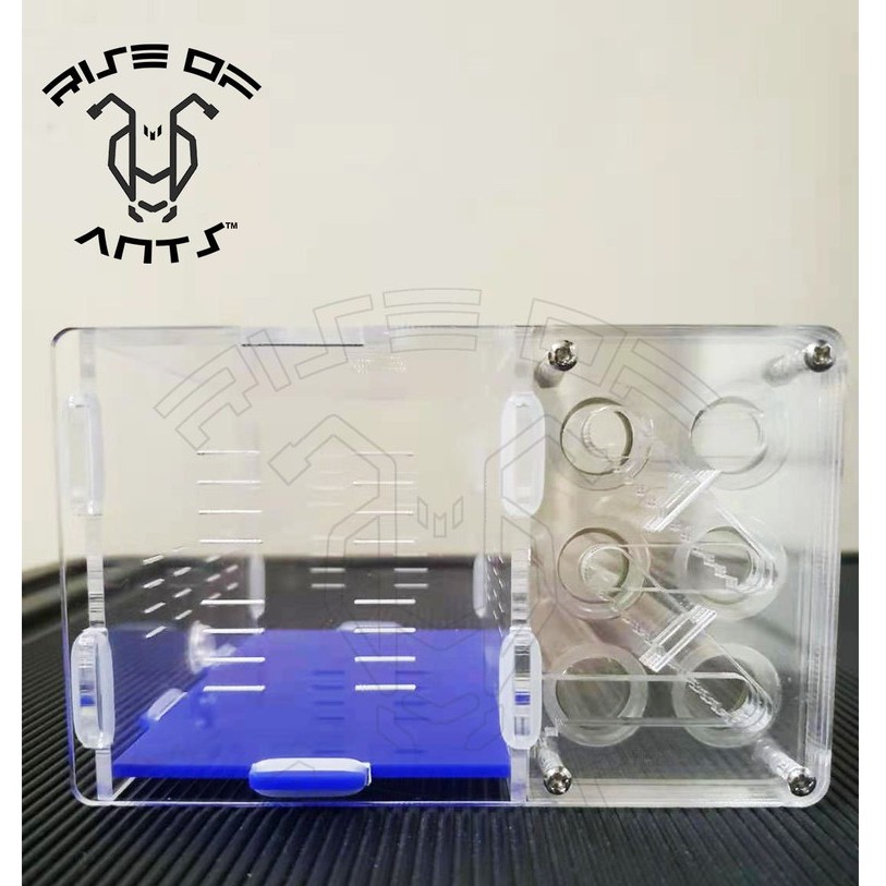 Ants Test Tube nest 6 Test tube acrylic ant nest glass test tube ant