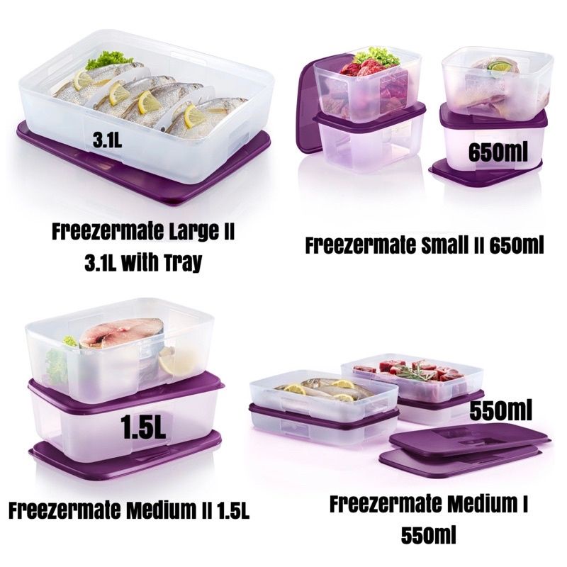 Tupperware Freezermate Set With Tray & dividers