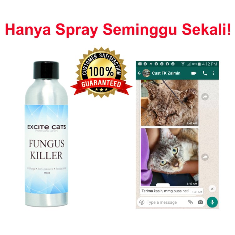 Excite Cats Fungus Killer Vip Ubat Spray Fungus Kucing Ubat Kurap Kucing Ubat Kudis Shopee Malaysia