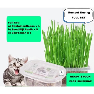 rumput kucing - Prices and Promotions - Nov 2021  Shopee Malaysia