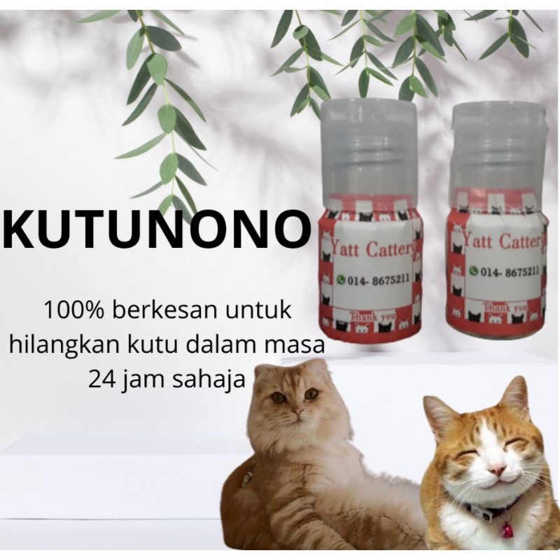 Buy UBAT KUTU KUCING DAN ANJING [KUTUNONO 100% BERKESAN 