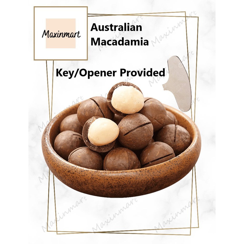 [Australian Macadamias] 500g Kacang Macadamia Nuts with Shell 澳大利亚烤夏威夷果 ...