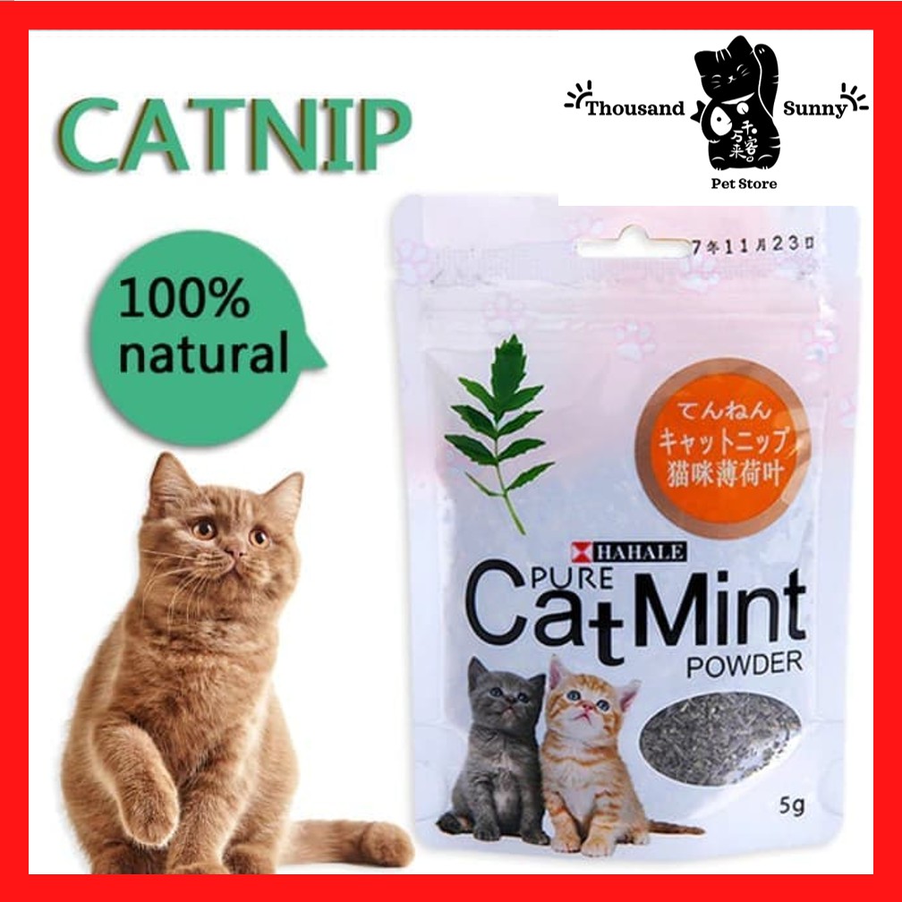 Buy 5 Free 1！】Natural Organic Pet Cat Mint Catnip Cat Treats 