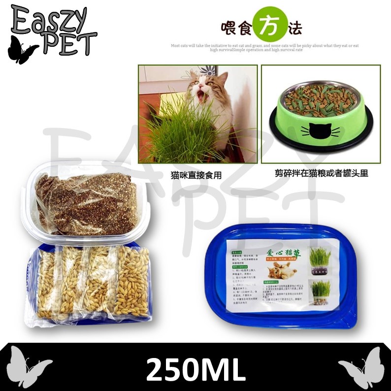 Buy Misha Cat Dry Food 1.7KG (Chicken u0026 Tuna /Ocean Fish /Seafood 