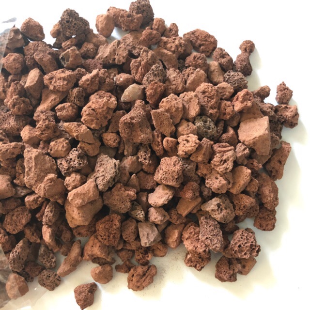 Lava Rock Medium (1kg) Filter Media For Aquarium Shopee Malaysia
