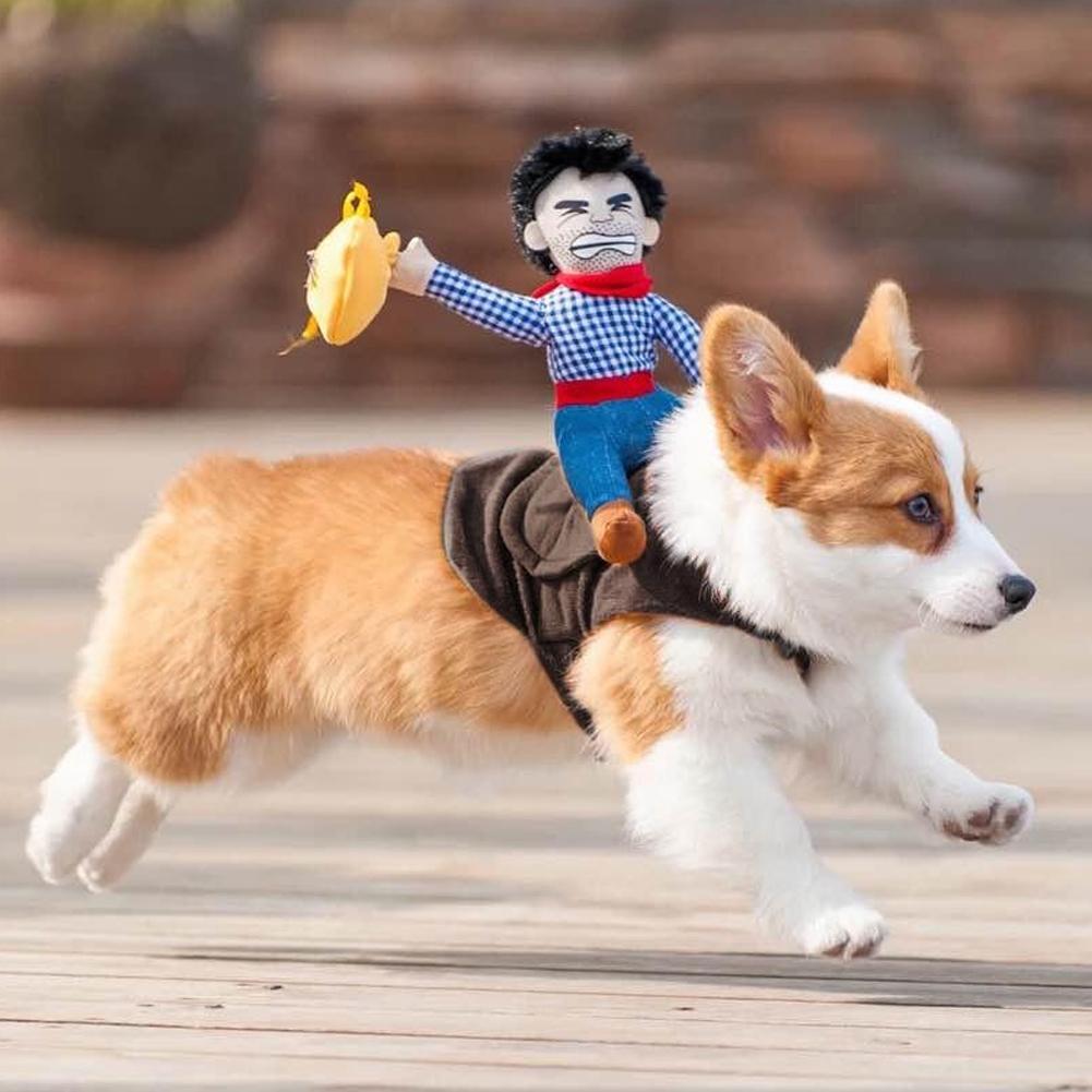 big lots pet supplies