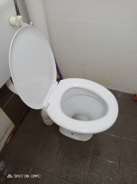 Toilet Bowl Seat Cover Toilet Seat Cover Penutup Mangkuk Tandas Duduk Dengan Skrew Semi Tebal Permukaan Berkilat Shopee Malaysia