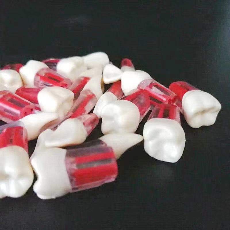 Dental Endo Training Block Tooth Endodontics Root Canal Model Dentistry ...