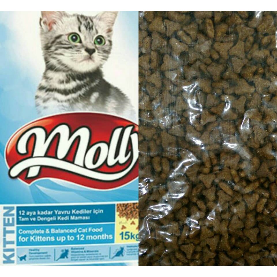 molly kitten food,New daily offers,rudrakshalliancedevelopers.com