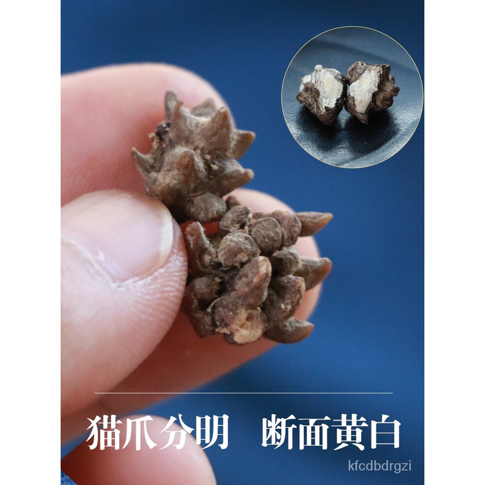 Buy Chinese Herbal Medicine 猫爪草500g克中药材三散草新鲜正品小毛茛 