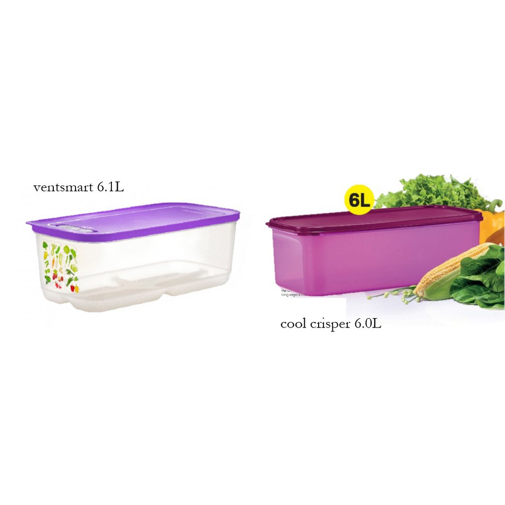 Tupperware Fresh Vegetables Container Ventsmart Cool Crisper