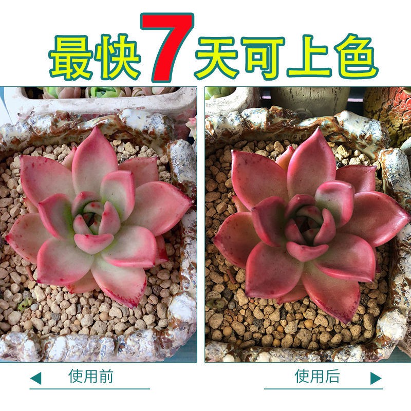 多肉 植物灯 Led 易美多肉补光灯植物补光灯上色全光谱led生长灯兰花花卉仿太阳光 Shopee Malaysia