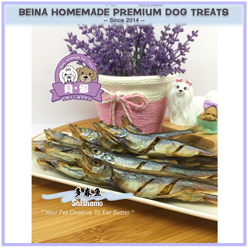 Beina Shishamo 多春鱼 风干宠物手工零食homemade Dog Snack Homemade Dog Treats Handmad Fishe Dog Snack Handmade Dog Treats Shopee Malaysia
