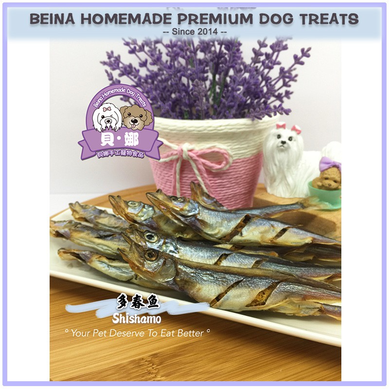 Beina Shishamo 多春鱼 风干宠物手工零食homemade Dog Snack Homemade Dog Treats Handmad Fishe Dog Snack Handmade Dog Treats Shopee Malaysia