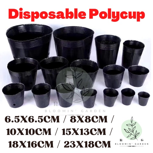 Polycup Plactic Flower Pot Plant Pot Nursery Pot Disposable Pasu Bunga Polybag Plastik Murah Pasu Bunga 塑料育苗盆 一次性花盆 便宜