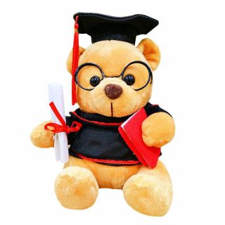 graduation bear plush