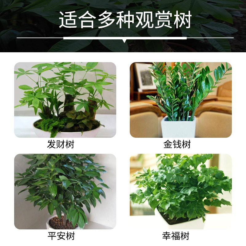 Nutrient Solution发财树营养液室内专用家用金钱树平安树幸福树黄叶通用肥料专用肥