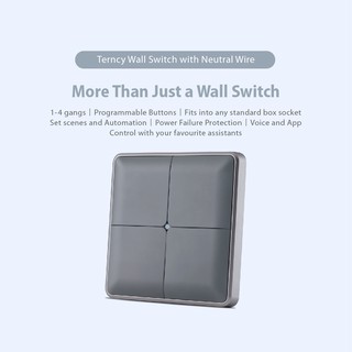 amazon alexa wall switch