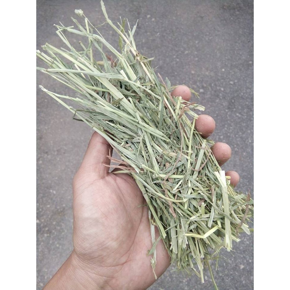 Timothy Alfalfa Hay For Rabbit Genuine Pig 1Kg Photo Inspiration