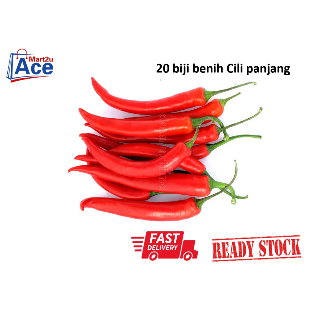 Cili Merah Panjang Price Promotion Nov 2021 Biggo Malaysia