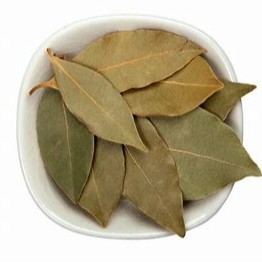  Daun Kayu Manis  Indian Variety Bay Leaves 10g Shopee 