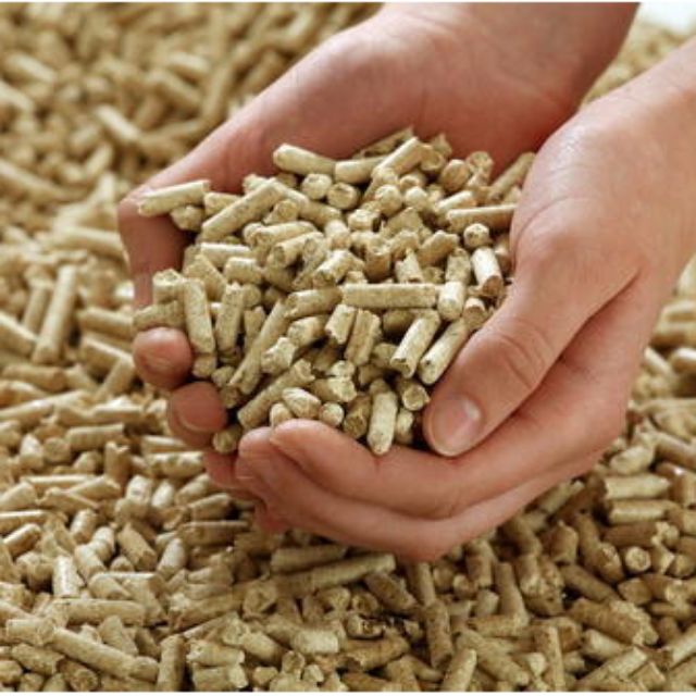 cat wood pellets