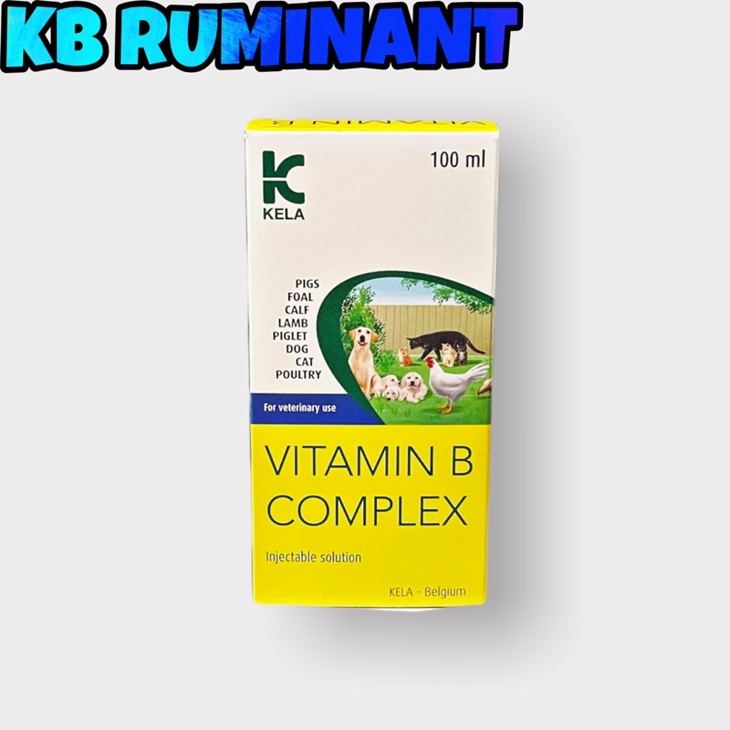 Vitamin B Complex Pengemuk Lembu Kambing Kerbau | Shopee Malaysia